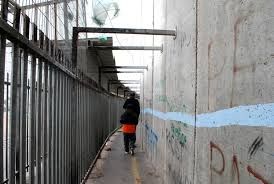 Palestine.jpg