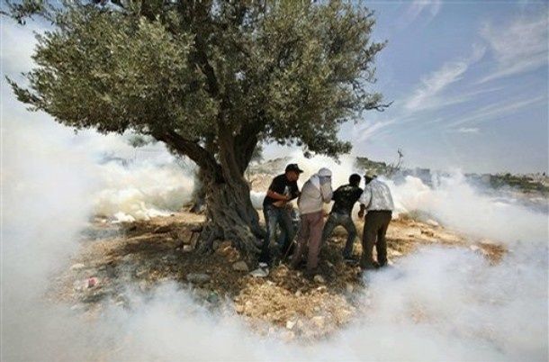 Kevin Frayer, Canada, The Associated Press. Palestinian protestors take cover from Israeli tear gas, West Bank, 27 May