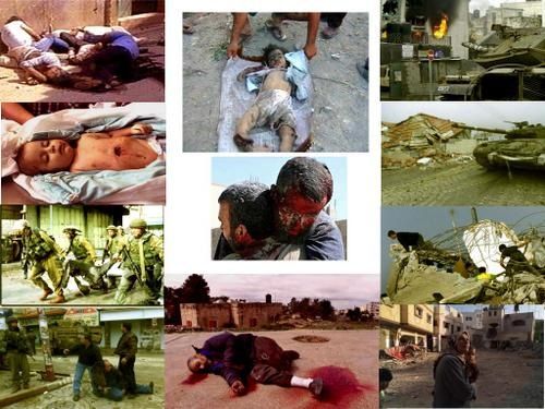 israel-occupation-crime-palestine israel-occupation-crime-palestine