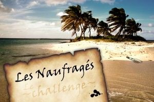 ChallengeNaufrages6.jpg