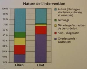 intervention-dentaires.jpg