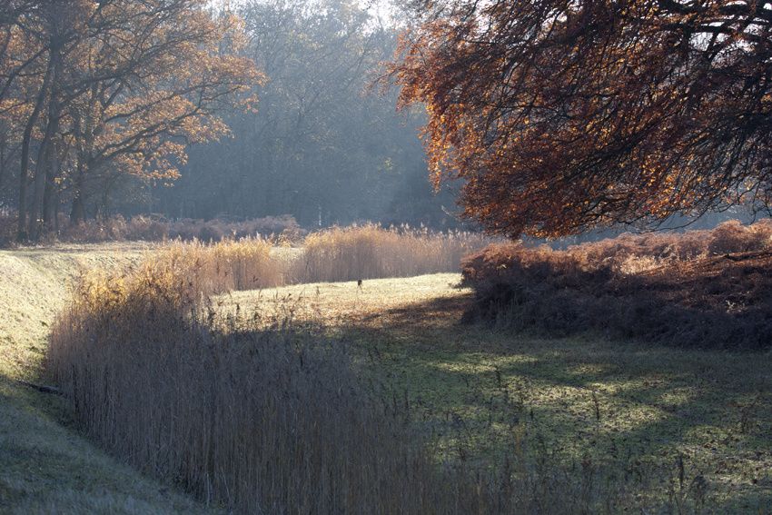14nov12x0156.jpg
