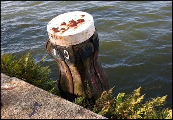 22sept07-A-dam-varens.jpg
