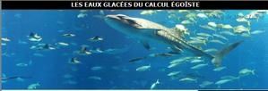 eauxglac-es.jpg