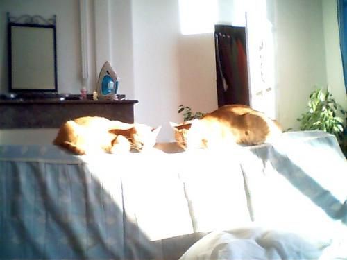 Picture-0108.jpg