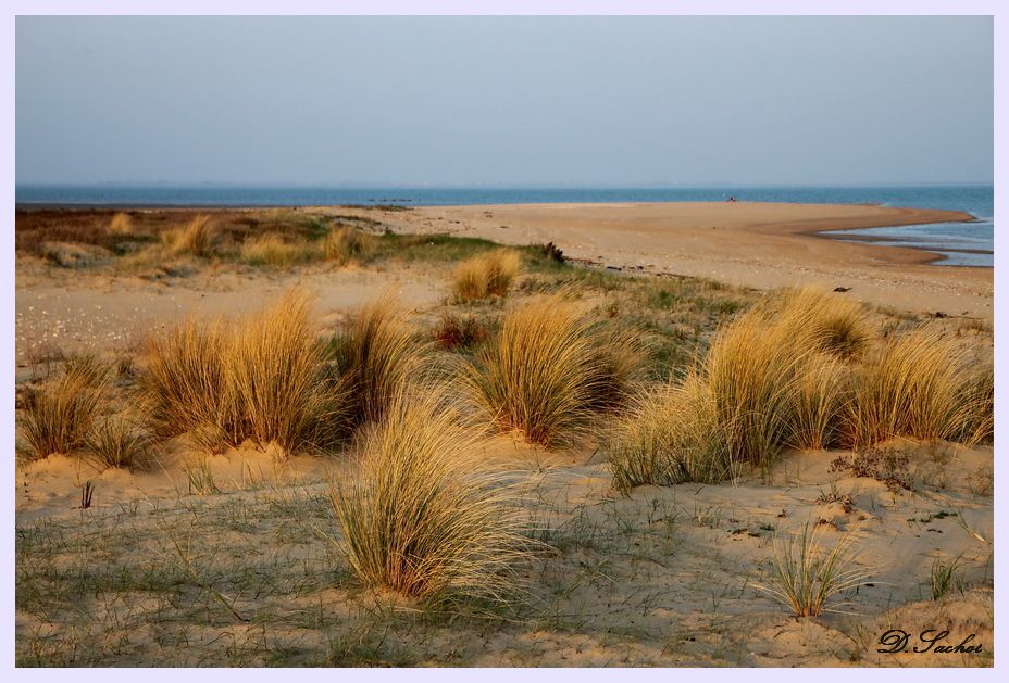 dune-blog-1.jpg
