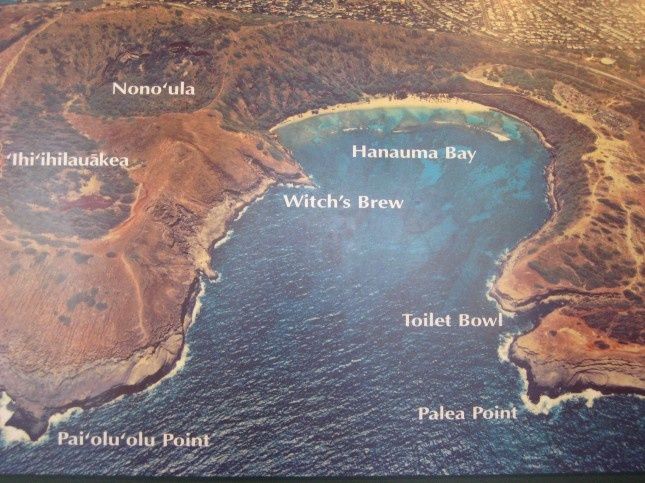 20100903-Oahu 6263S