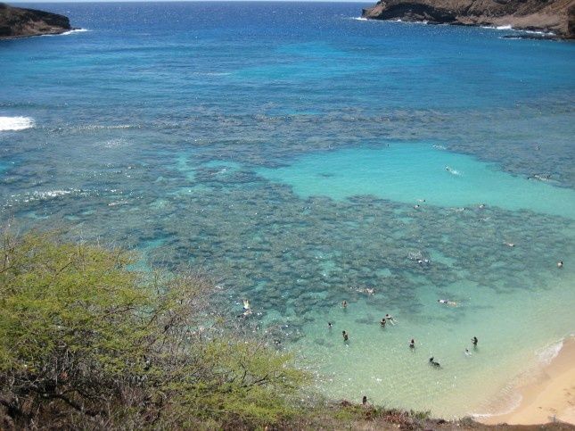 20100903-Oahu 6283S