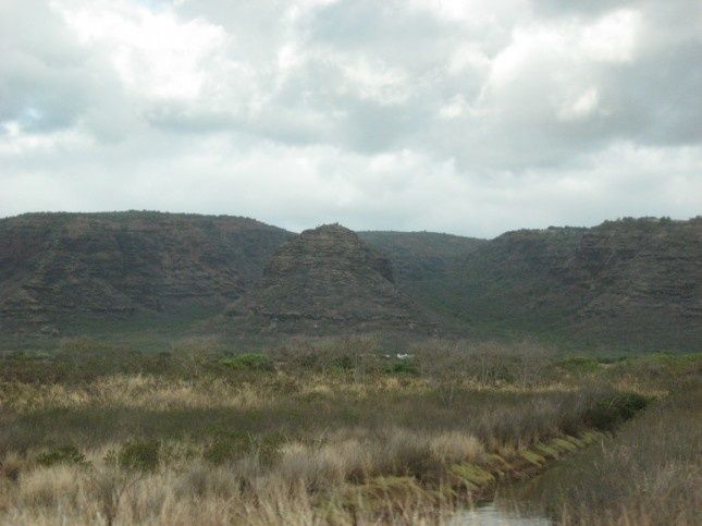 B.ApresMidiKauai 6441S