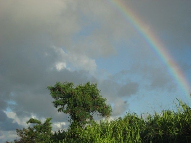 B.ApresMidiKauai 6472S