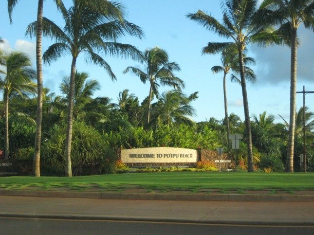 B.ApresMidiKauai 6474S
