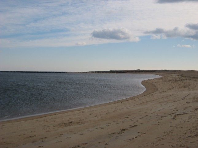 20101127-PlumIsland 6753S