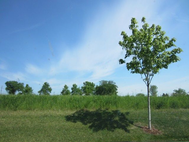 20120521-Retour 0376S