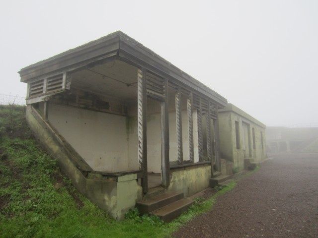 A-SF 2650S