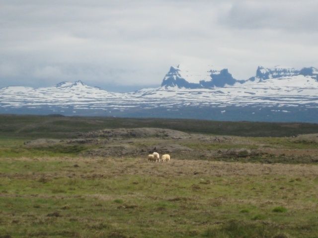 A 3013S