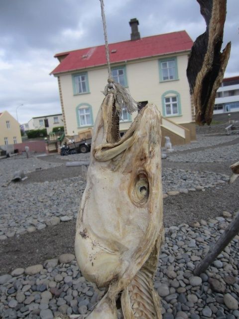 20130706-Iceland 3681S