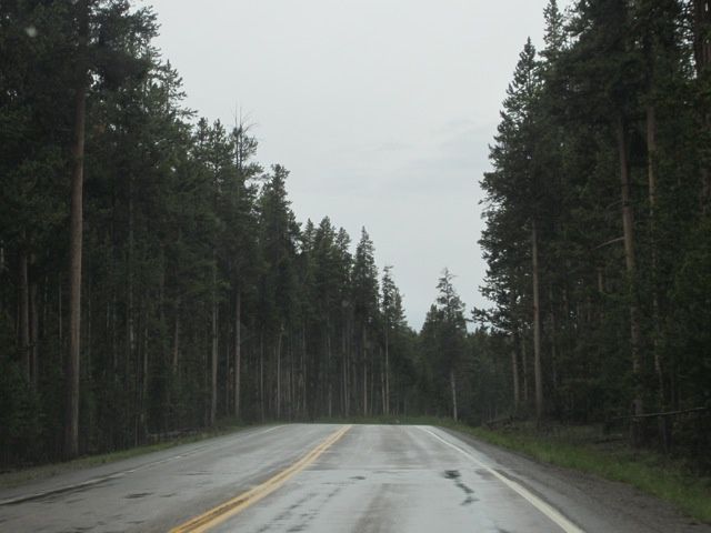 A-route 6317S