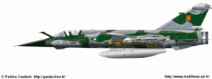 F1-CT.gif