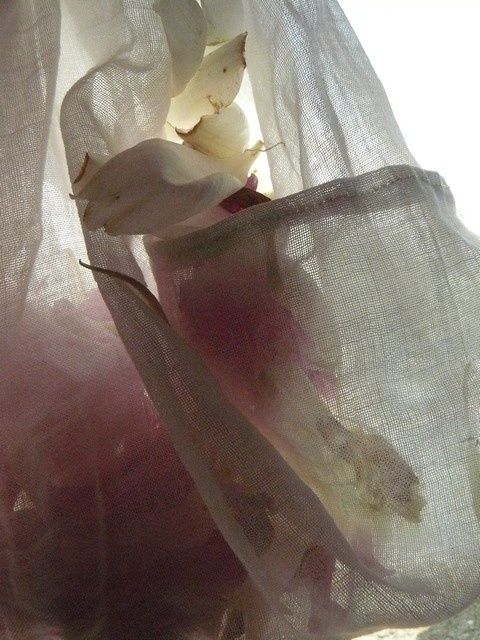 rose12.jpg