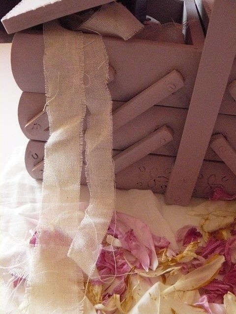 rose15.jpg