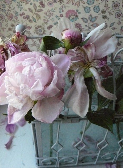 rose3.jpg