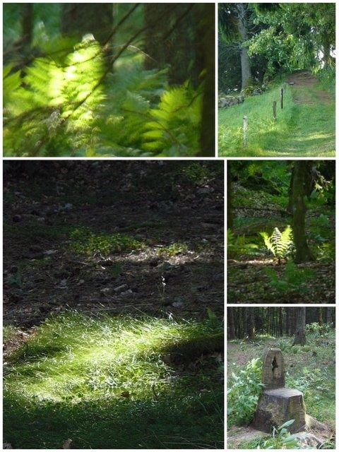 site83.jpg