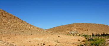DSCN9035.jpg