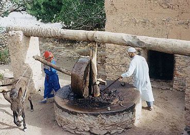 moulin_huile_ane.jpg