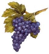 Le blog de papier - les raisins