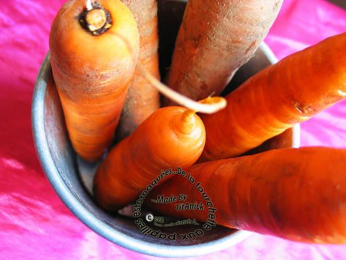 Carottes06.jpg