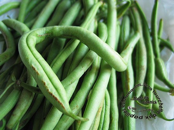 Haricots_20_72.jpg