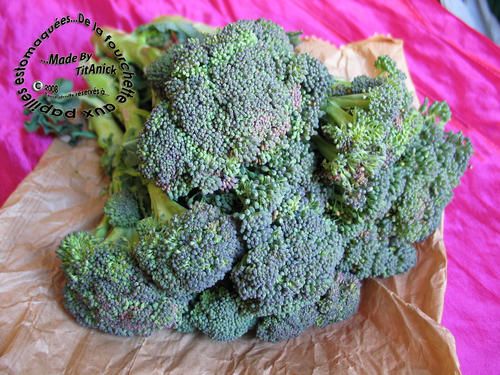 brocoli01.jpg