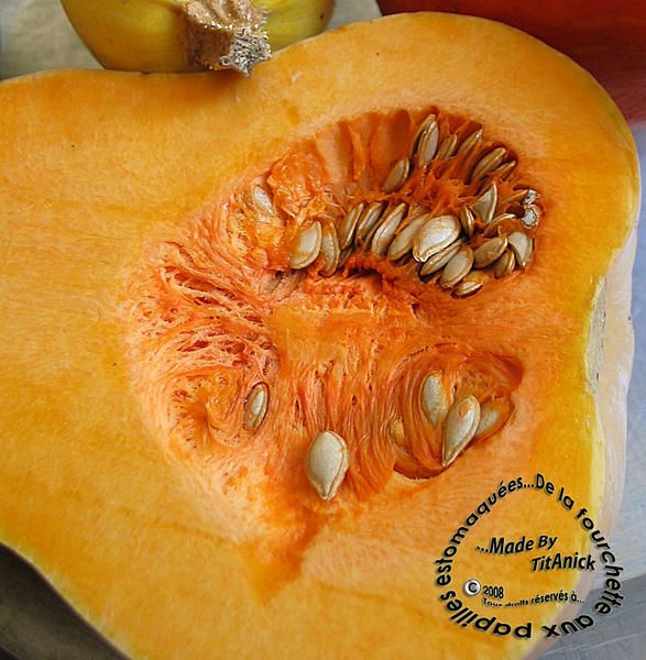 butternut01_.jpg
