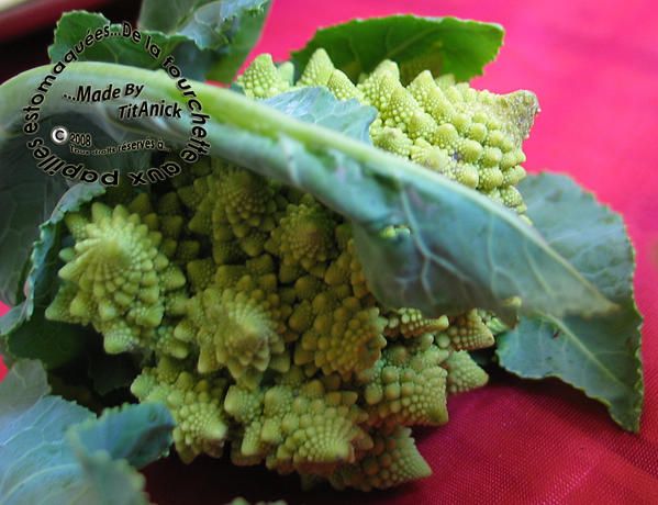 chouromanesco05.jpg