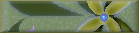 bout64.gif