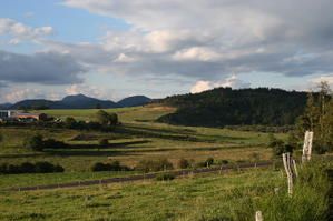 IMG-1372.jpg