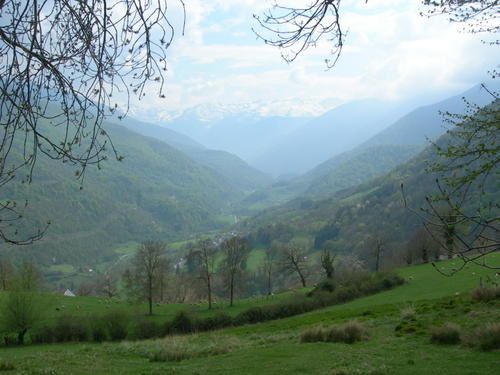 DSCN2200.JPG