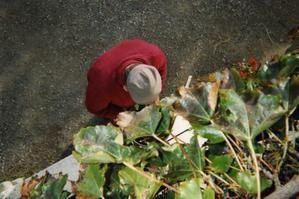 img120.jpg