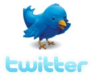 twitter_bird.jpg