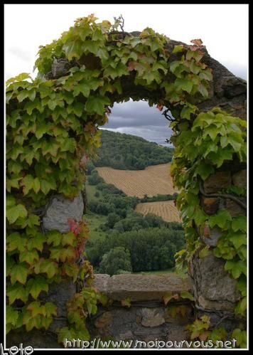du-jardin-du-chateau-busseol.jpg