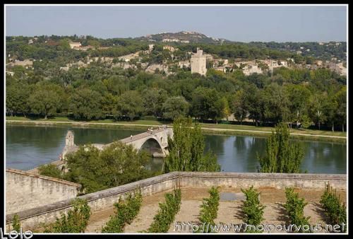 pont-d-Avignon.jpg