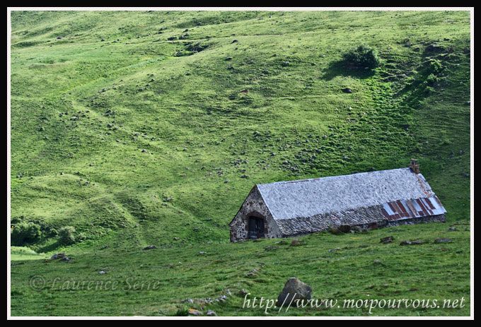 buron-Cantal-vers-Allanches.jpg