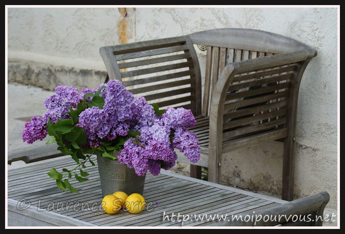 bouquet-de-lilas-et-citrons.jpg