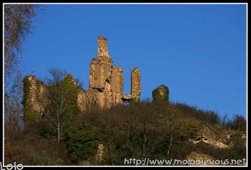 ruines-chateau-cocu.jpg