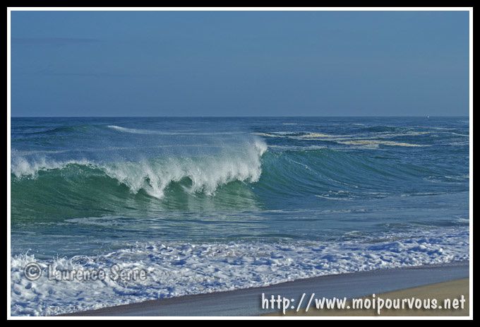 vagues-pour-surfeurs-Hossegor.jpg