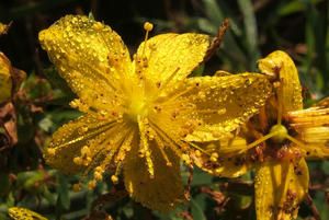 DSCF2055.JPG