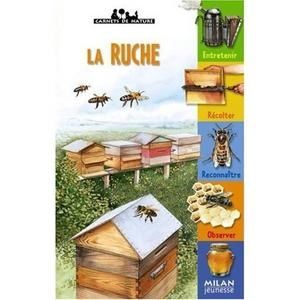 la-ruche-rogez-charles.jpg