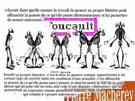 évolution copie