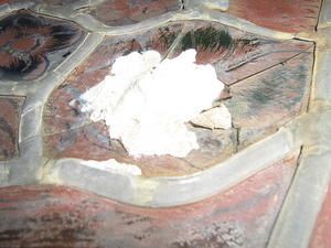 IMG_0020.JPG