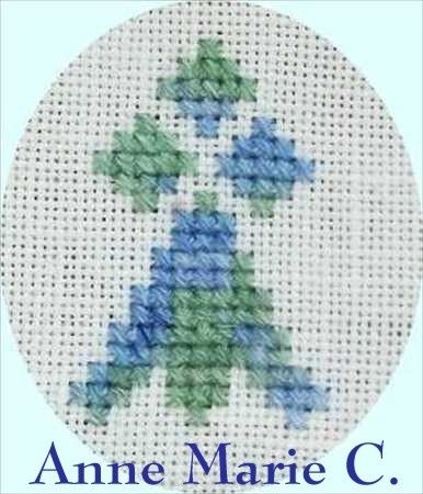 snsm-anne marie-mamigoz